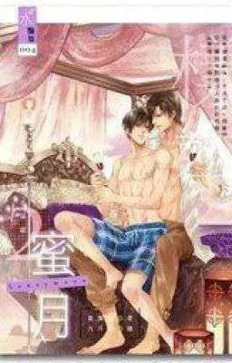 Ảnh bìa của [ĐM MỸ – CAO H] TẨU THÁC LỘ