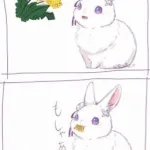 [ĐAM MỸ] Ôm một bé thỏ nhỏ