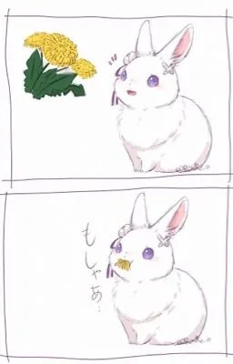 Ảnh bìa của [ĐAM MỸ] Ôm một bé thỏ nhỏ