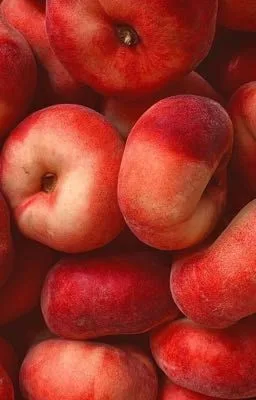 Ảnh bìa của [Đam Mỹ – Cao H] Nhuyễn hương nhập hoài